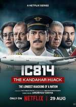 Watch IC 814: The Kandahar Hijack 1channel