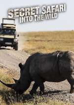 Watch Secret Safari: Into the Wild 1channel