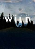 Watch Called to the Wild 1channel