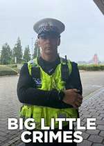 Watch Big Little Crimes 1channel