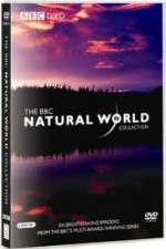 Watch The Natural World 1channel