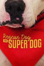 Watch Rescue Dog to Super Dog (US) 1channel