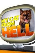 Watch My Cat from Hell 1channel