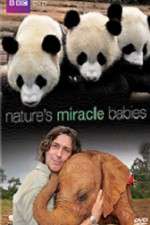 Watch Natures Miracle Babies 1channel