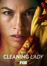 Watch The Cleaning Lady 1channel