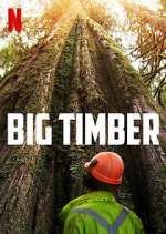 Watch Big Timber 1channel