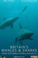 Watch Britain's Whales and Sharks 1channel