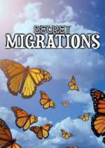 Watch Secret Migrations 1channel