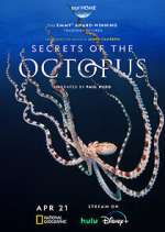 Secrets of the Octopus 1channel