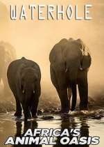 Watch Waterhole: Africa's Animal Oasis 1channel
