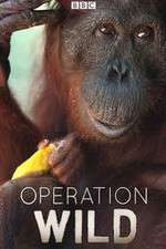 Watch Operation Wild 1channel