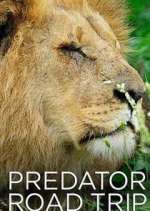 Watch Predator Road Trip 1channel