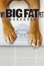 Watch My Big Fat Pet Makeover 1channel