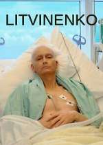Watch Litvinenko 1channel