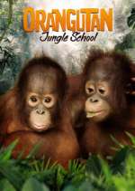 Watch Orangutan Jungle School 1channel