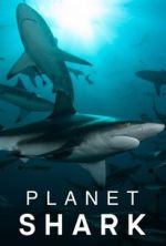 Watch Planet Shark 1channel