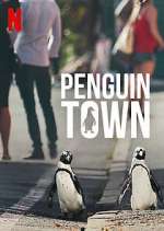 Watch Penguin Town 1channel