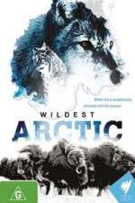 Watch Wildest Arctic 1channel