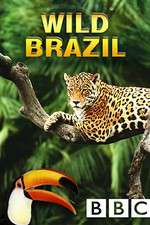 Watch Wild Brazil 1channel