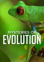 Watch Mysteries of Evolution 1channel