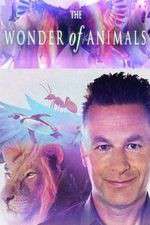 Watch The Wonder of Animals 1channel