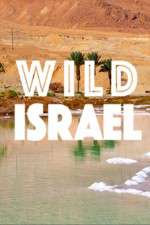 Watch Wild Israel 1channel