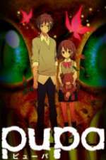 Watch Pupa 1channel