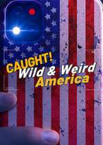 Watch Wild & Weird America 1channel