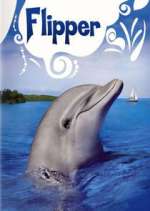 Watch Flipper 1channel