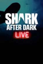 Watch Shark After Dark 1channel