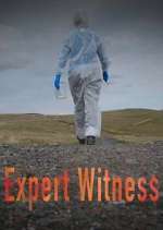 Watch Expert Witness 1channel