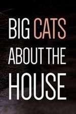 Watch Big Cats About the House 1channel