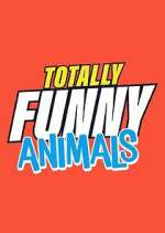 Watch Totally Funny Animals 1channel