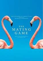 Watch The Mating Game 1channel