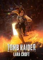 Watch Tomb Raider: The Legend of Lara Croft 1channel