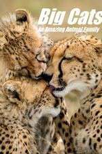 Watch Big Cats: An Amazing Animal Family 1channel