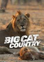 Watch Big Cat Country 1channel