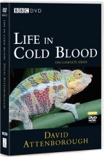 Watch Life in Cold Blood 1channel