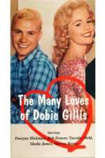 Watch The Many Loves of Dobie Gillis 1channel