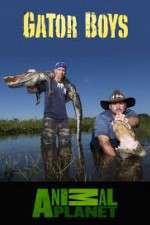 Watch Gator Boys 1channel