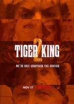 Watch Tiger King: Murder, Mayhem and Madness 1channel