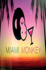 Watch Miami Monkey 1channel