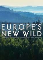 Watch Europe's New Wild 1channel