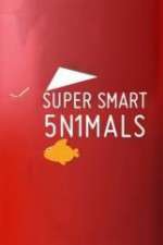 Watch Super Smart Animals 1channel