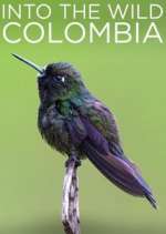 Watch Into the Wild Colombia 1channel