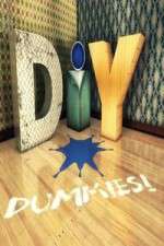 Watch DIY Dummies 1channel