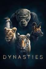Watch Dynasties 1channel