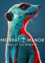 Watch Meerkat Manor: Rise of the Dynasty 1channel