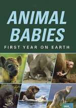 Watch Animal Babies: First Year on Earth 1channel