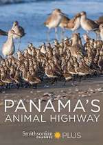Watch Panama's Animal Highway 1channel